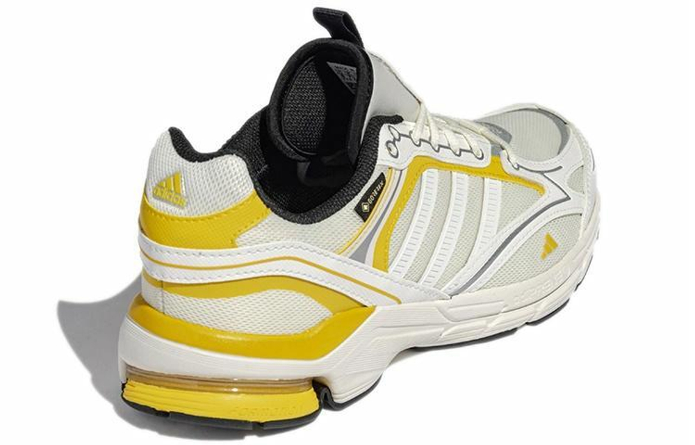 Кроссовки Adidas Spiritain 2000 Gore-Tex