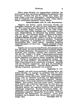 Die Süsswasser-Flora Deutschlands, Österreichs und der Schweiz | Adolf Pascher