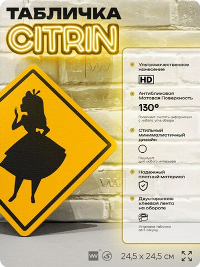 Табличка "Осторожно, Алиса" шуточная прикольная табличка на дверь и стену, для офиса и дома, декоративный знак, 24,5х24,5 см, пластиковая, Айдентика Технолоджи