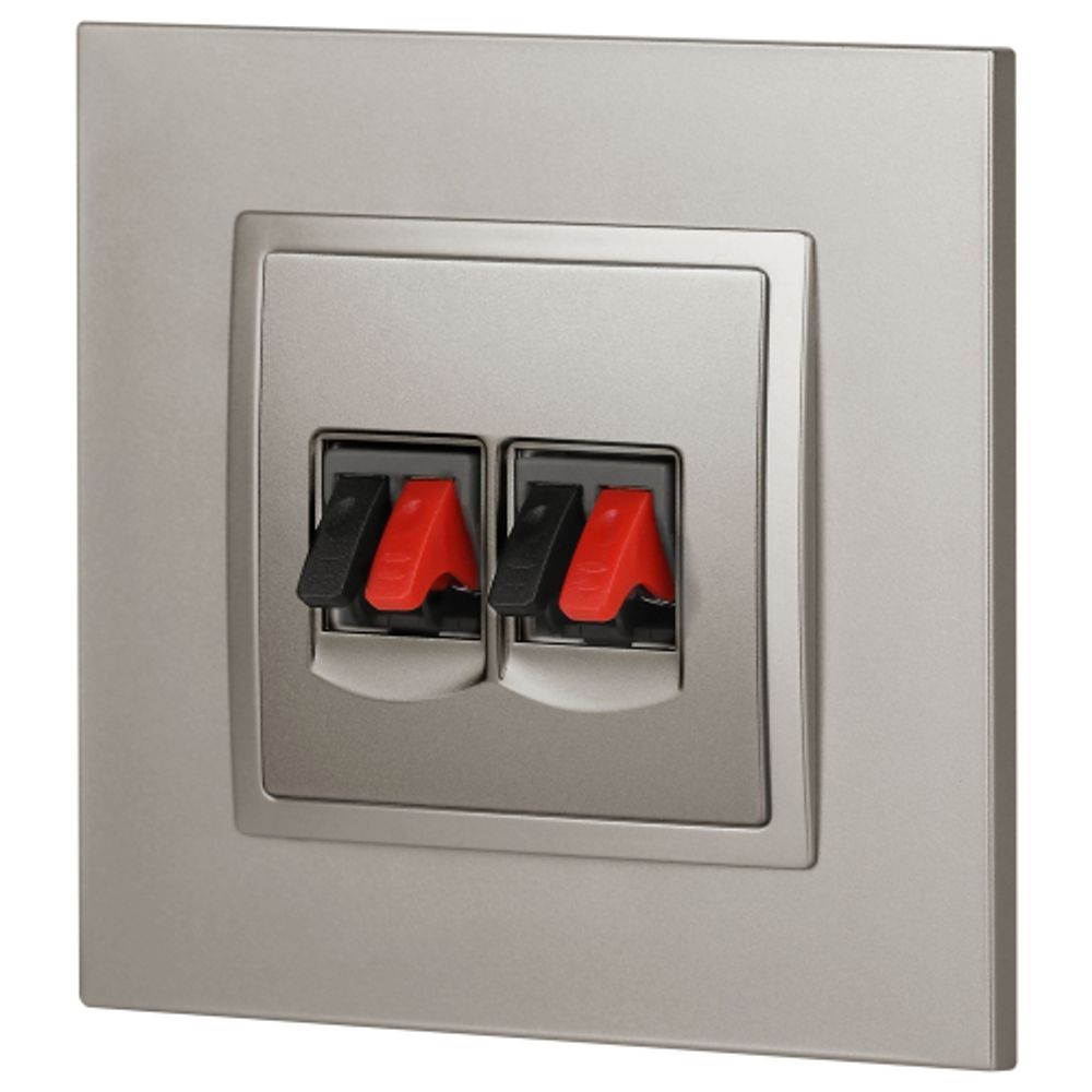 Розетка ЭРА Elegance 14-3112-16 аудио двойная, титан