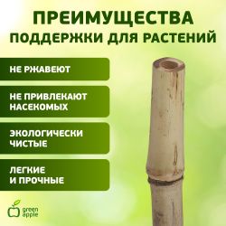GBS-10-90 GREEN APPLE Поддержка бамбуковая 90см o 10мм набор 5шт | GREEN APPLE