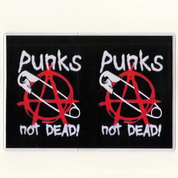Обложка Punks Not Dead булавка (323)