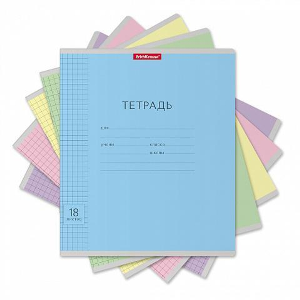 Тетрадь школьная А5 18л клетка классика "Visio" в ассорт. (ErichKrause) микс цветов (комплект 5 шт)