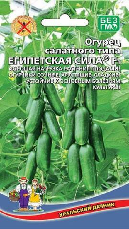 Огурец "G. Египетская сила F1" 10шт., Россия.