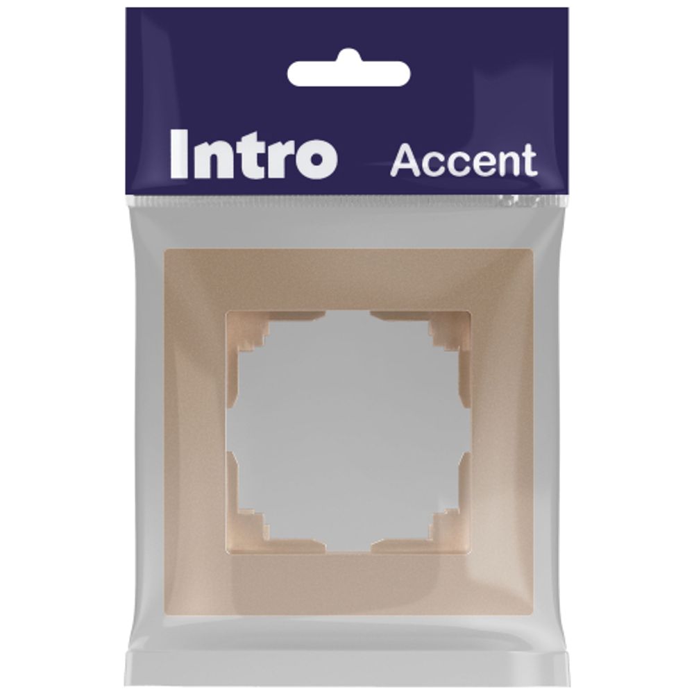 Рамка для розеток и выключателей Intro Accent 6-501-04 на 1 пост, СУ, шампань