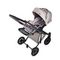 Коляска ANEX e/type 2 в 1 (et-SE05) Eden