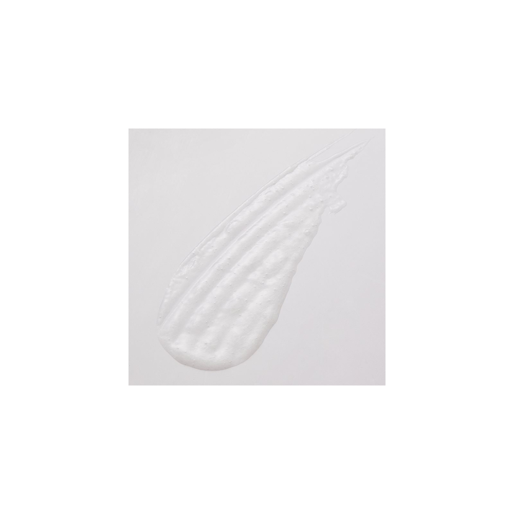 Alfaparf Milano Il Salone Epic - кондиционер для нормальных и сухих волос /   500  ml  / GTIN 8022297034287