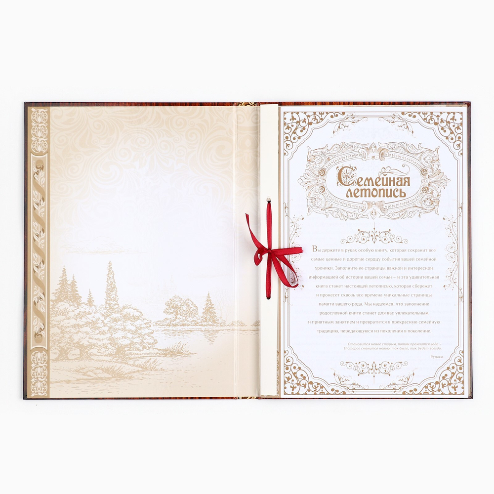 Родословная книга «Дерево», 100 страниц, 22х31 см