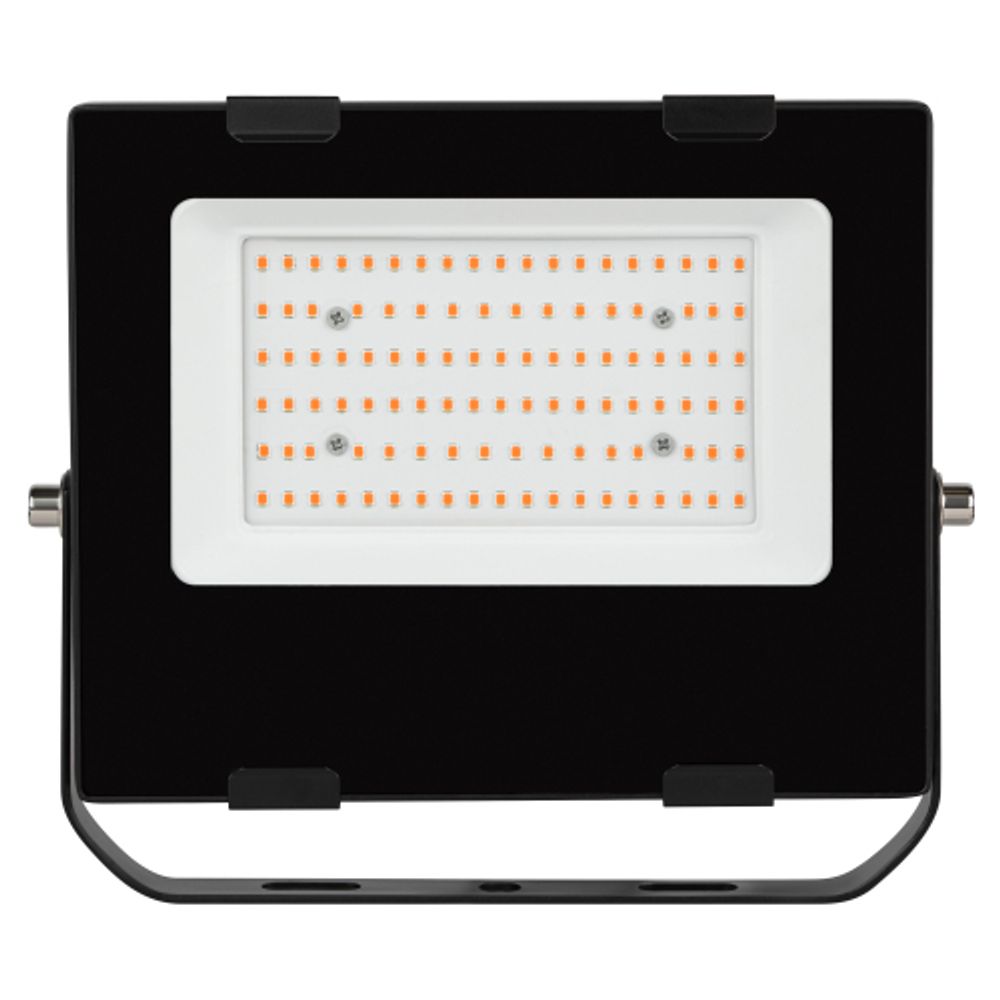 Фитопрожектор для растений светодиодный ЭРА FITO-50W-RB-LED для цветения и плодоношения красно-синего спектра 50 Вт | Фито прожекторы