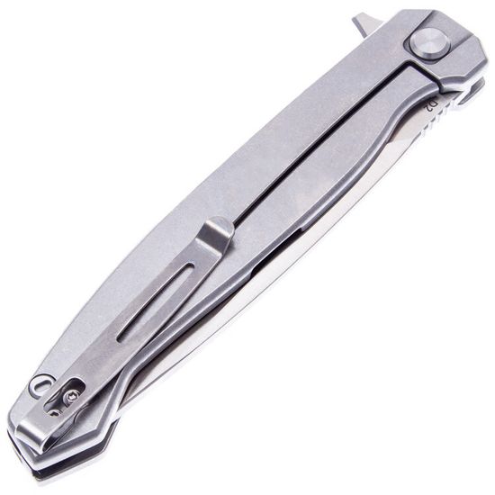 Складной нож REPTILIAN САРГАН-02 c клинком из стали D2, рукоять Stainless Steel