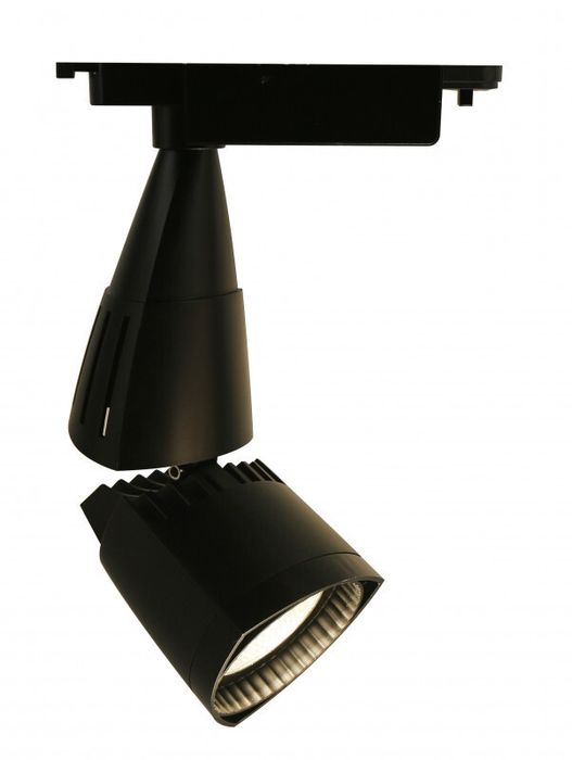 Светильник на шине Arte Lamp A3830PL-1BK