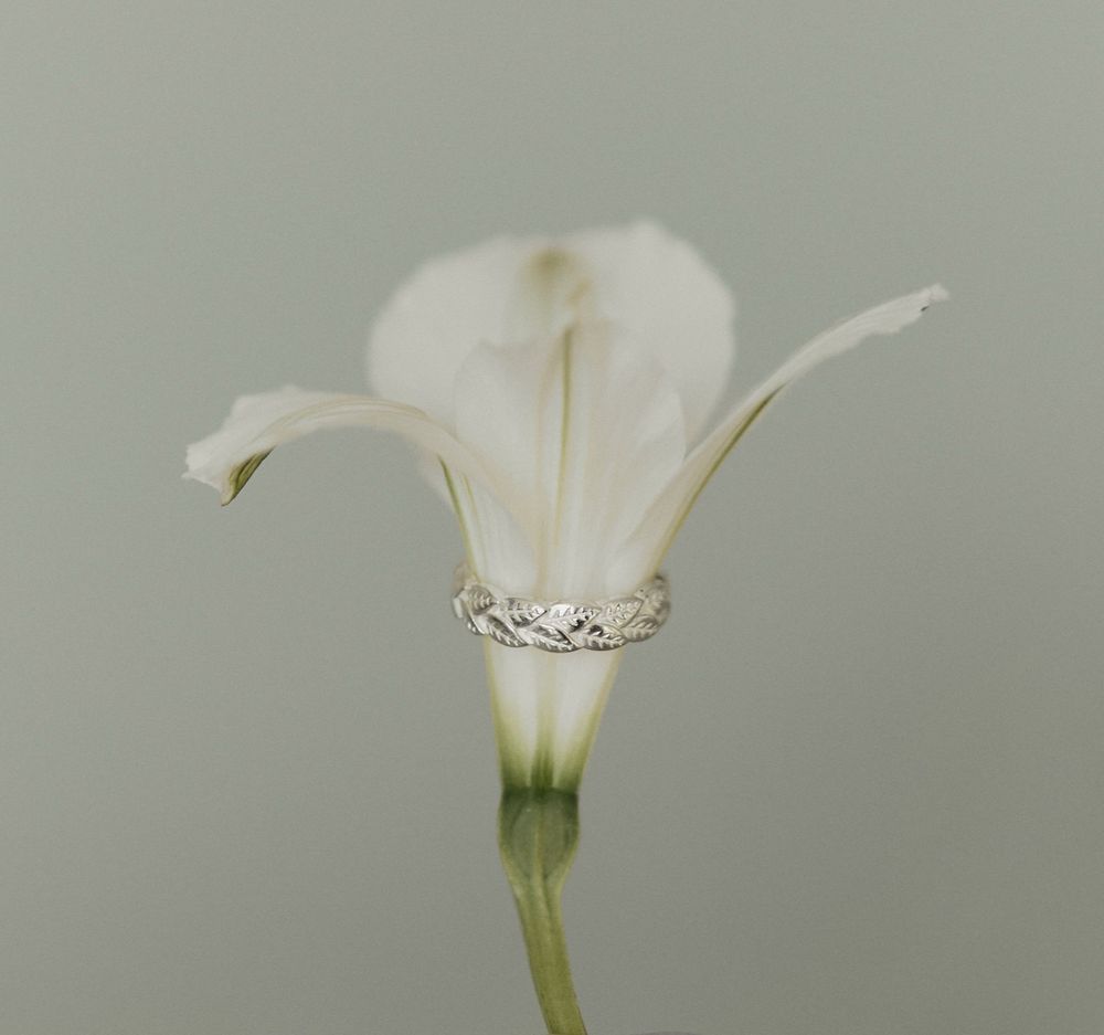 Кафф Лавровая веточка