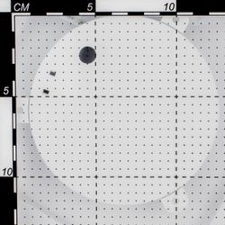 Citilux Альпина Смарт CL718A40G RGB Умная люстра