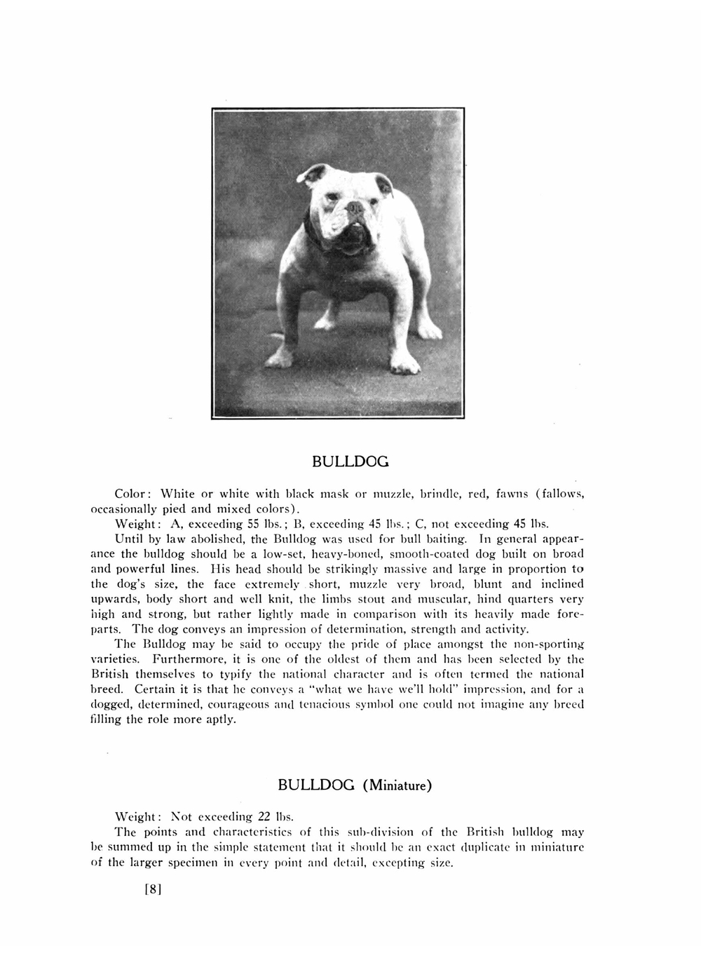 Dogs of all nations | Walter Esplin Mason