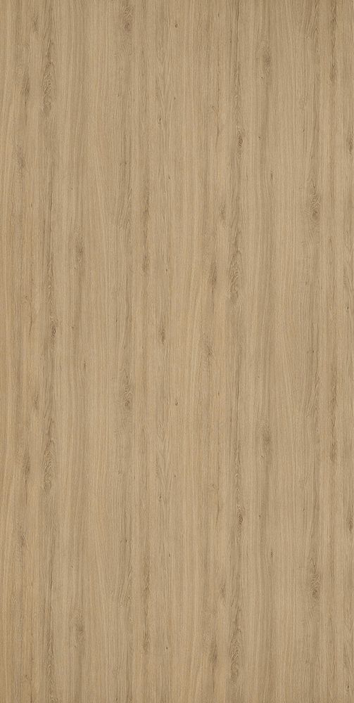 Эвкалипт Августа