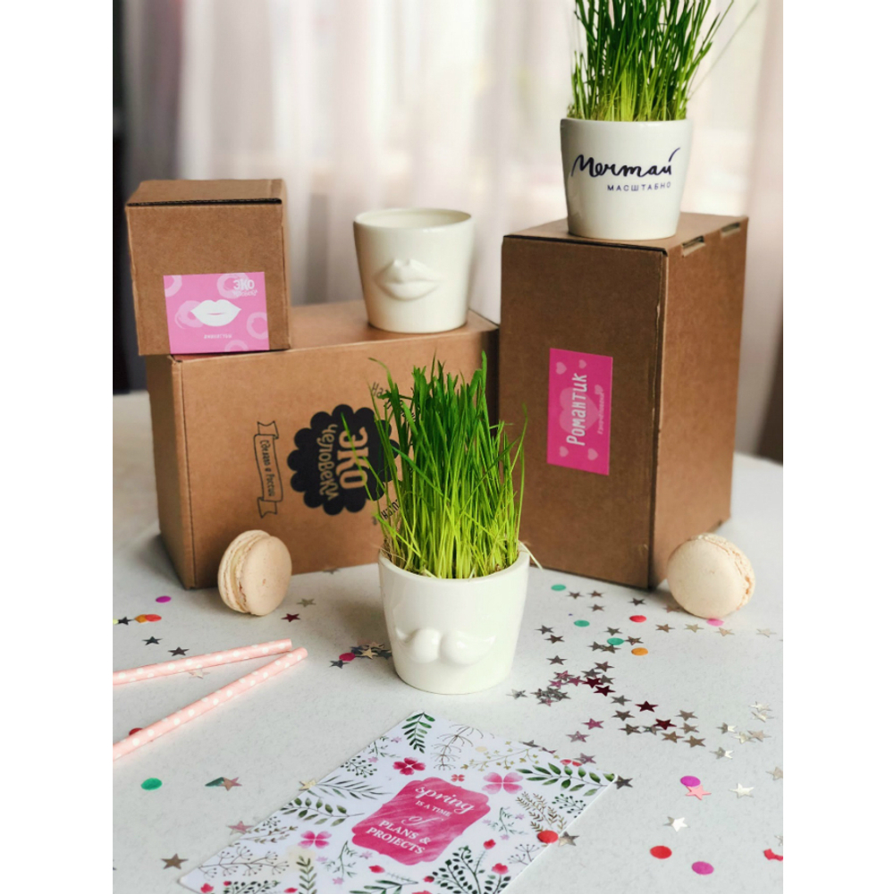 Набор для выращивания eco мини-кашпо «Усы»