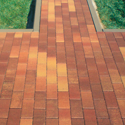 Тротуарная плитка ПРЯМОУГОЛЬНИК 200x100 мм - Листопад гладкий Осень