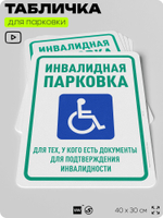 Табличка для парковки "Инвалидная парковка", для дома, офиса, организаций, 40х30 см, Silver Plane x Айдентика Технолоджи
