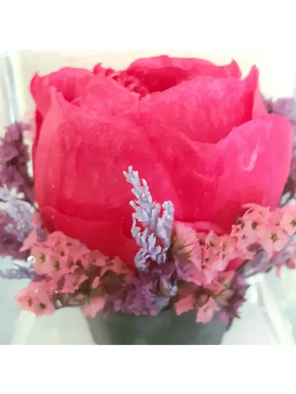 натуральный пион в стекле, вакуум*