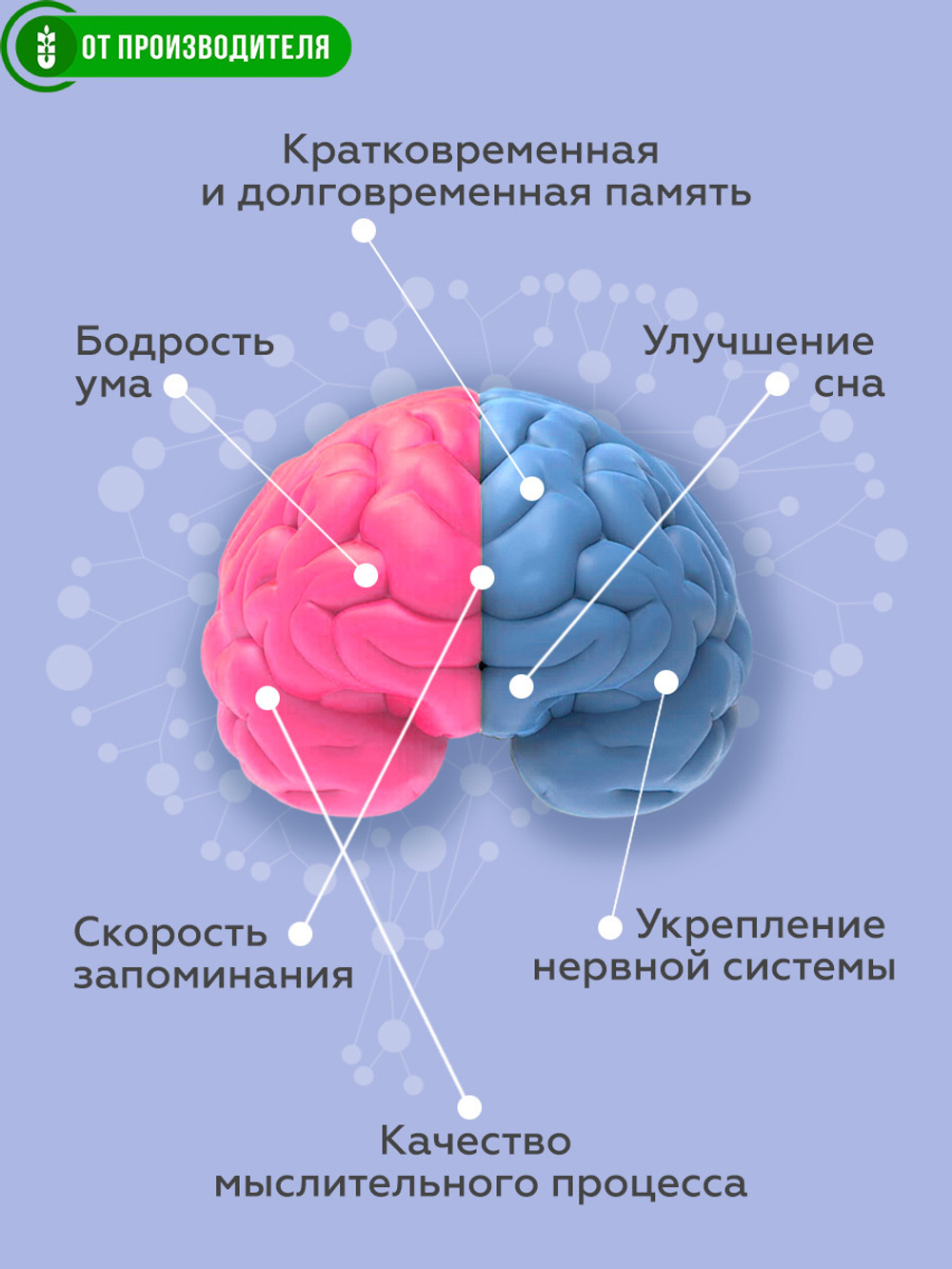 D_Erudit_smorod_preim