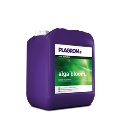 Alga bloom