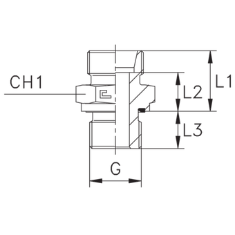Штуцер FE DS12 BSP 3/8 (корпус)