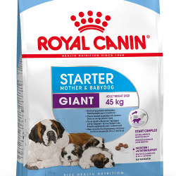 Royal Canin Giant Starter Mother&Babydog - корм для щенков, беременных и кормящих сук крупных пород