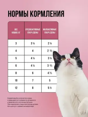 Пауч кусочки в соусе для стерилизованных кошек, с телятиной с овощами