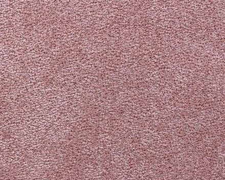 Коллекция Терри