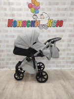 Коляска модульная Adamex Nola Natura N-9-Moon