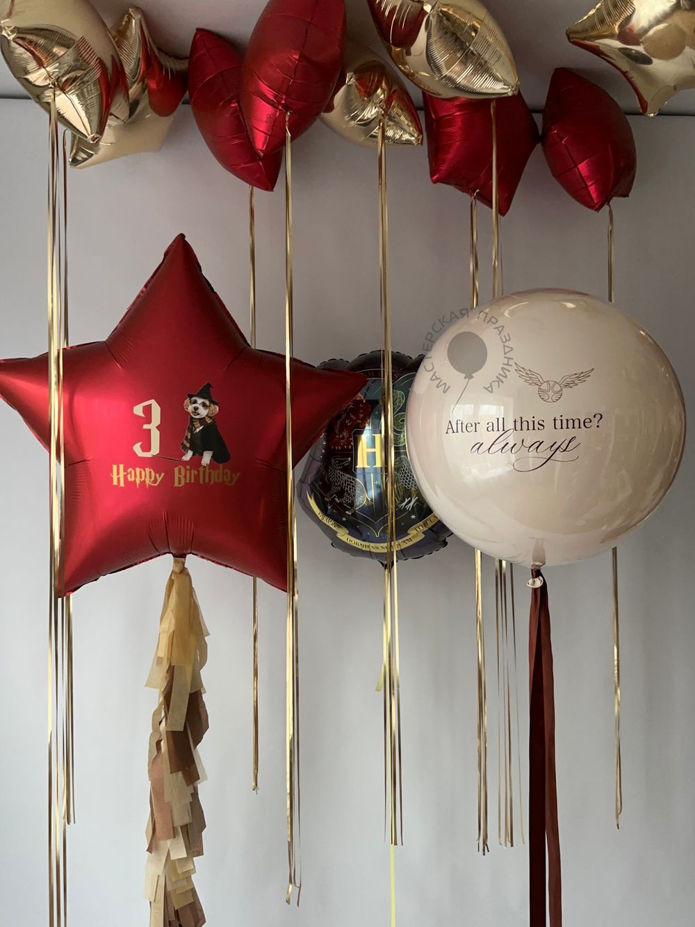 Воздушные шары №8823  Изображение6