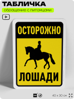 Табличка "Осторожно, лошади" на дверь и забор, для конюшни, фермы, деревни, 40х30 см, Silver Plane x Айдентика Технолоджи
