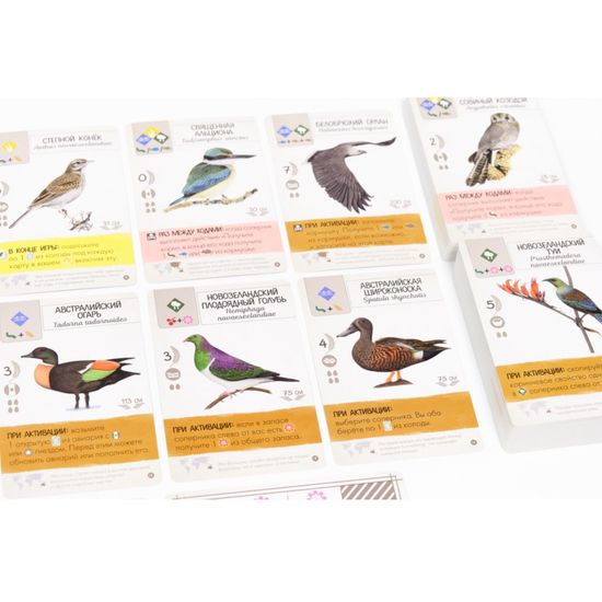 Настольная игра Крылья. Птицы Океании