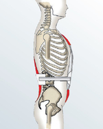 Корсет гиперэкстензионный 3-х точечный medi 3C