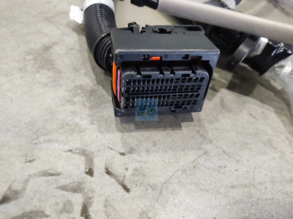 Жгут проводов 53445.3724012-20