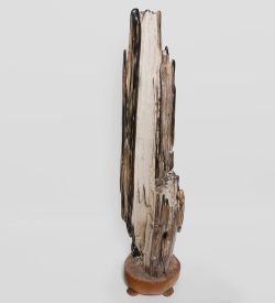 TB639 Камень древесный «Ровесник динозавра» 59 кг