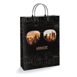 Подарочные пакеты 30+10из мягкого пластика (Интерпак) х10 (Авиатор) Россия