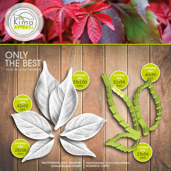 Девичий виноград листья