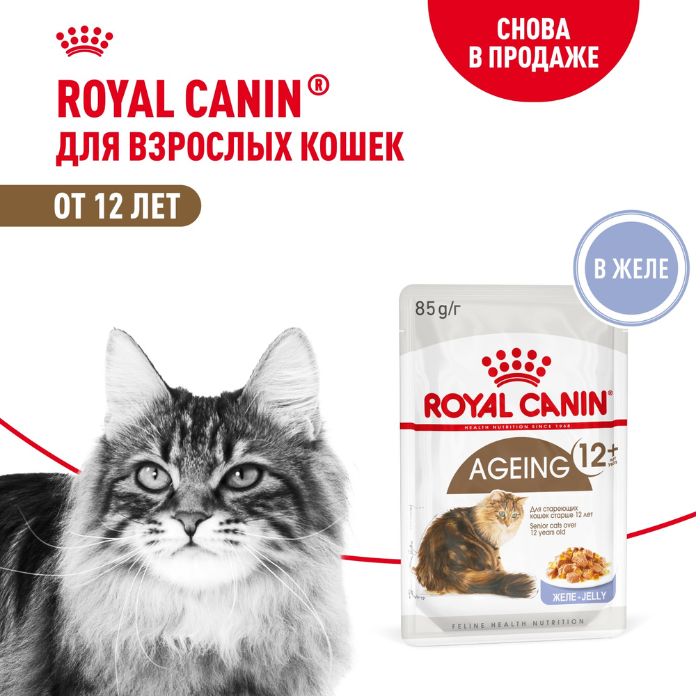Royal Canin Ageing 12+ Эйджинг Корм влажный для взрослых кошек в возрасте старше 12 лет желе 85г