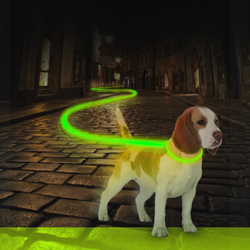 Ошейник для собак светящийся, зеленый DUVO+