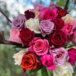 ☀️ разгуляемся-охапка Феи — выбор за нами — ароматные и интерьерные розы, выращенные в Калужской области