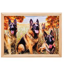 AMB-51/68 Картина «Овчарки» (с янтарной крошкой) дер.рамка 21х30