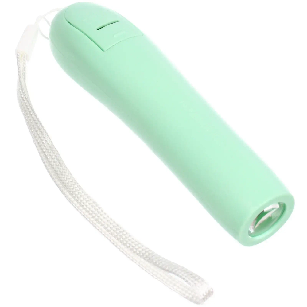 Лазерная указка для кошек «Лапка - Царапка», цвет мятный, 1 режим, 16,2*2,6см (работает от 3 батареек AG13)