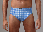 Набор из 2 клетчатых трусов - серых и голубых (Размер: L) (Цвет: серый с голубым)