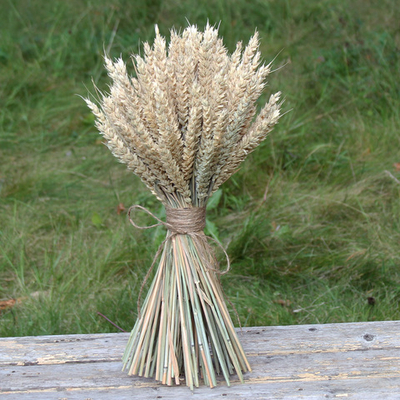 Букет сухоцветов Пшеницы 45х25 см