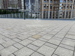 Сибревкомовский мост, г. Новосибирск