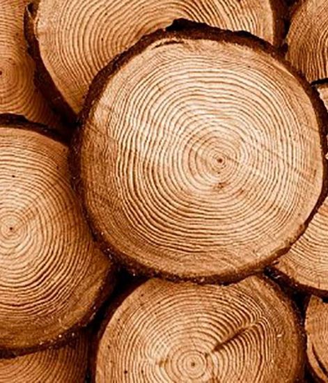 Ароматический диффузор Лавровые цветы, Bago home