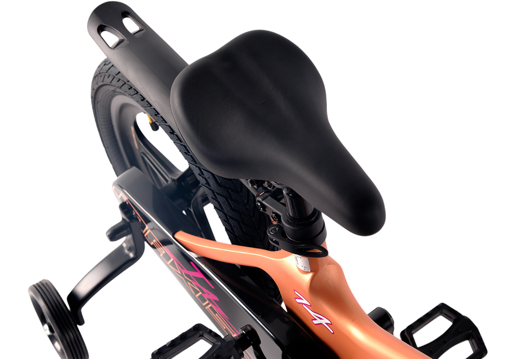 Maxiscoo JAZZ Pro 14'' (2025)