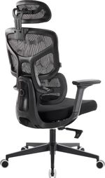 Эргономичное кресло Everprof Omega Black Сетка Черный