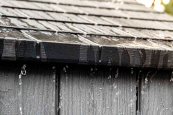 Пластиковая бытовка LifeTime WoodLook 10x8